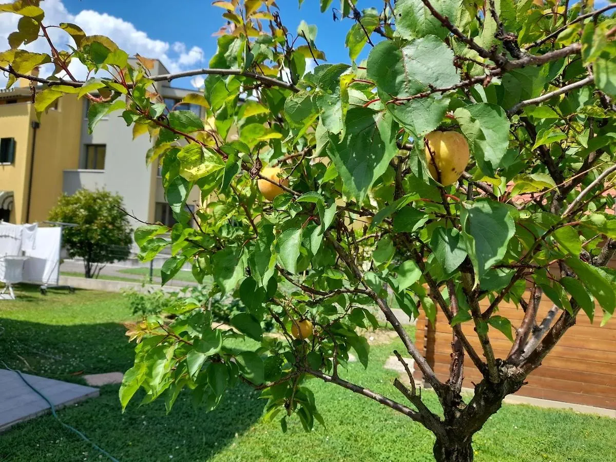 B&B Villa Griselda 3*, Quinto Di Treviso